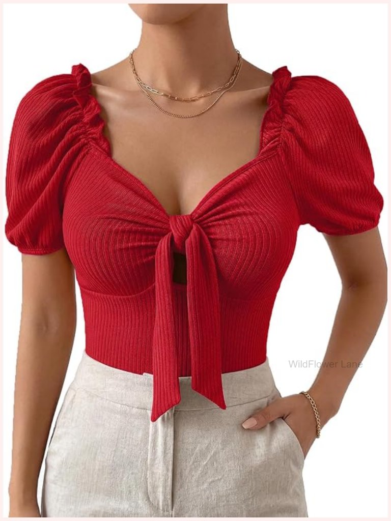 V Neck Rib Knit Bow Knot Front Short Sleeve Blouse Top